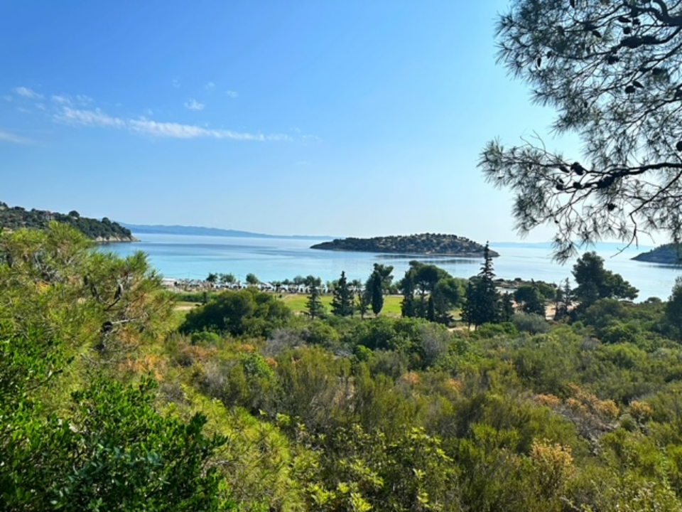 Villa Ayana